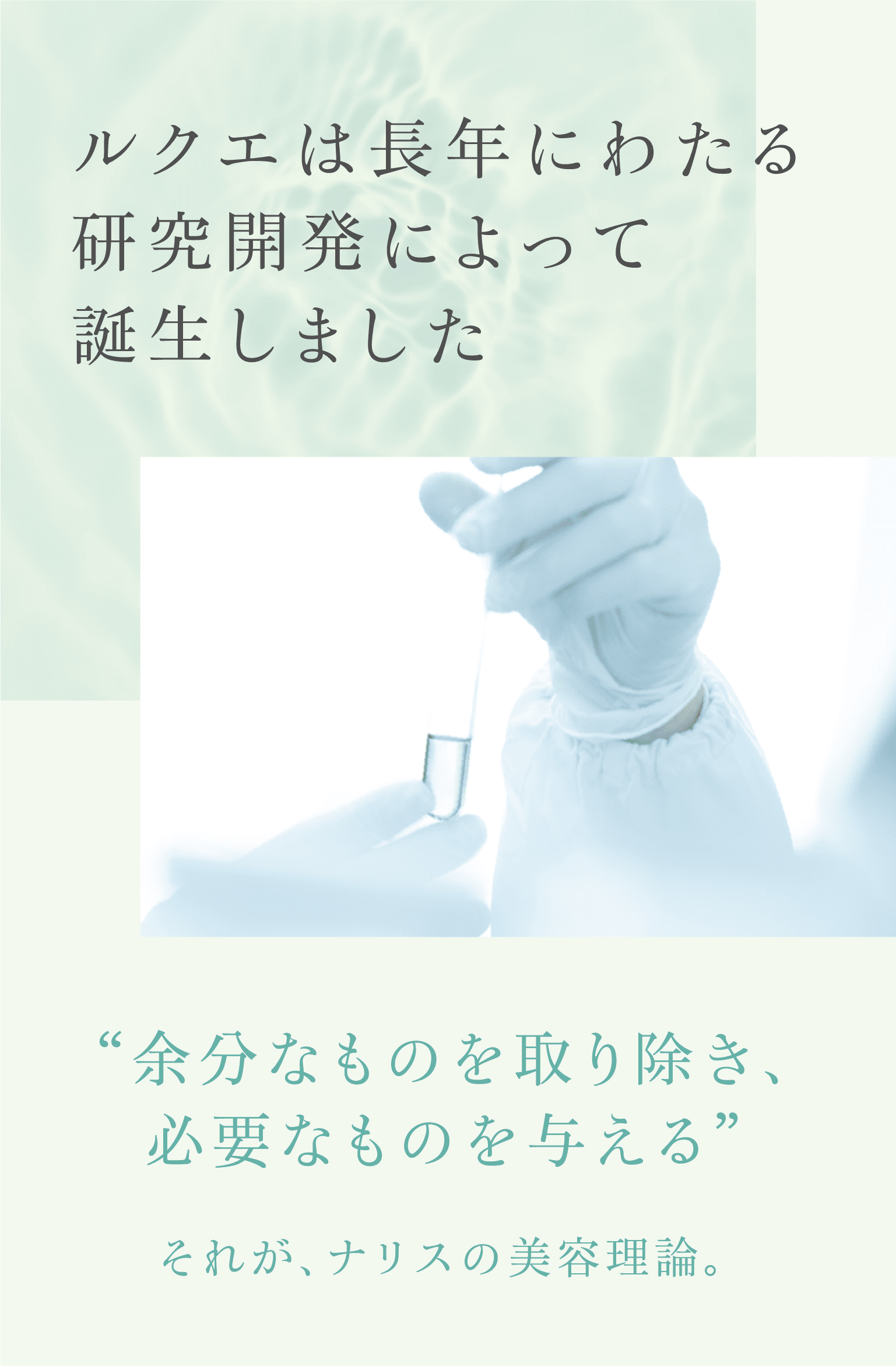 ルクエは長年にわたる研究開発によって誕生しました