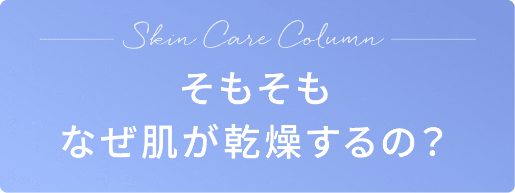 Skin Care Column そもそもなぜ肌が乾燥するの？