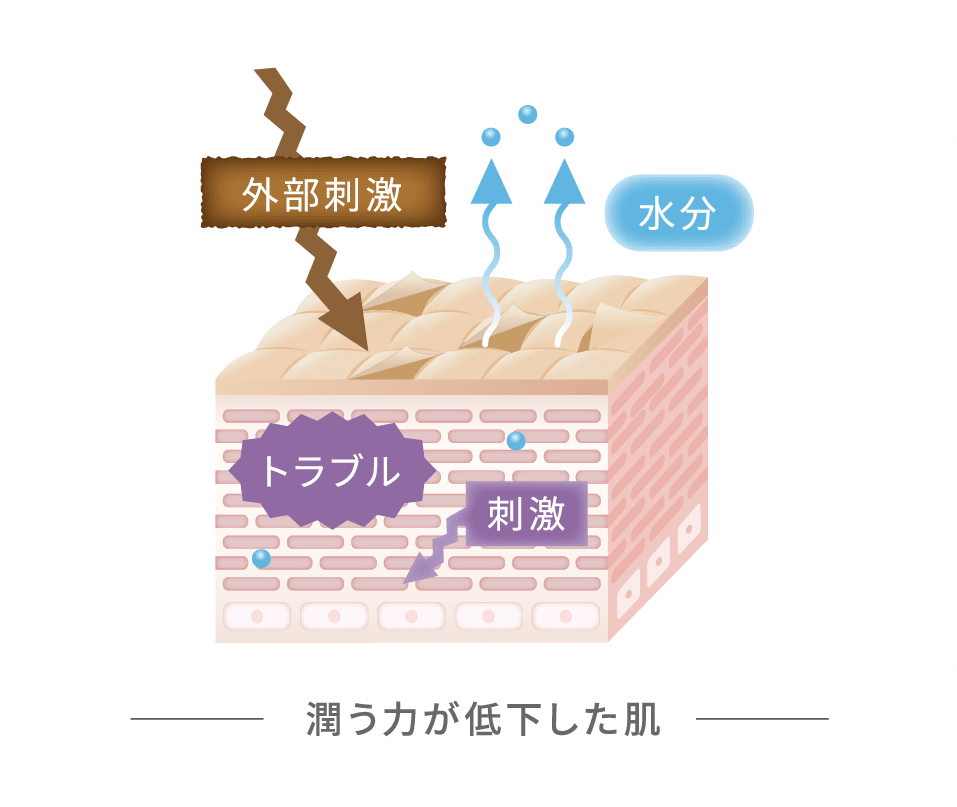 潤う力が低下した肌
