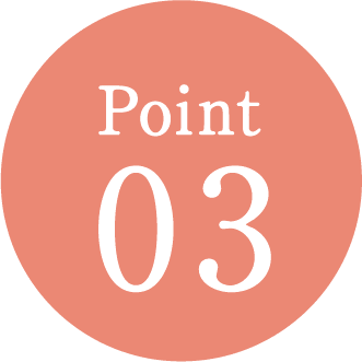 Point 03