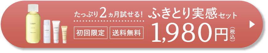 ふきとり実感セット