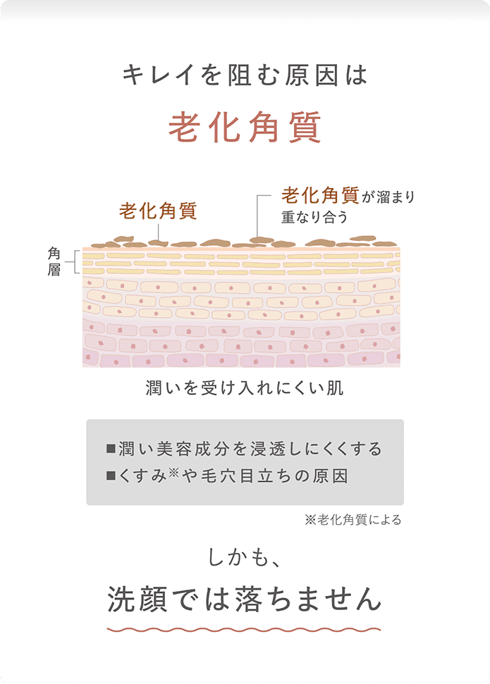 キレイを阻む原因は老化角質