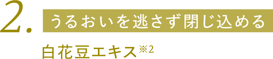 うるおいを逃さず閉じ込める 白花豆エキス※2