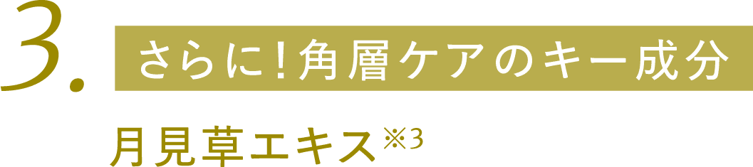 さらに！角層ケアのキー成分 月見草エキス※3