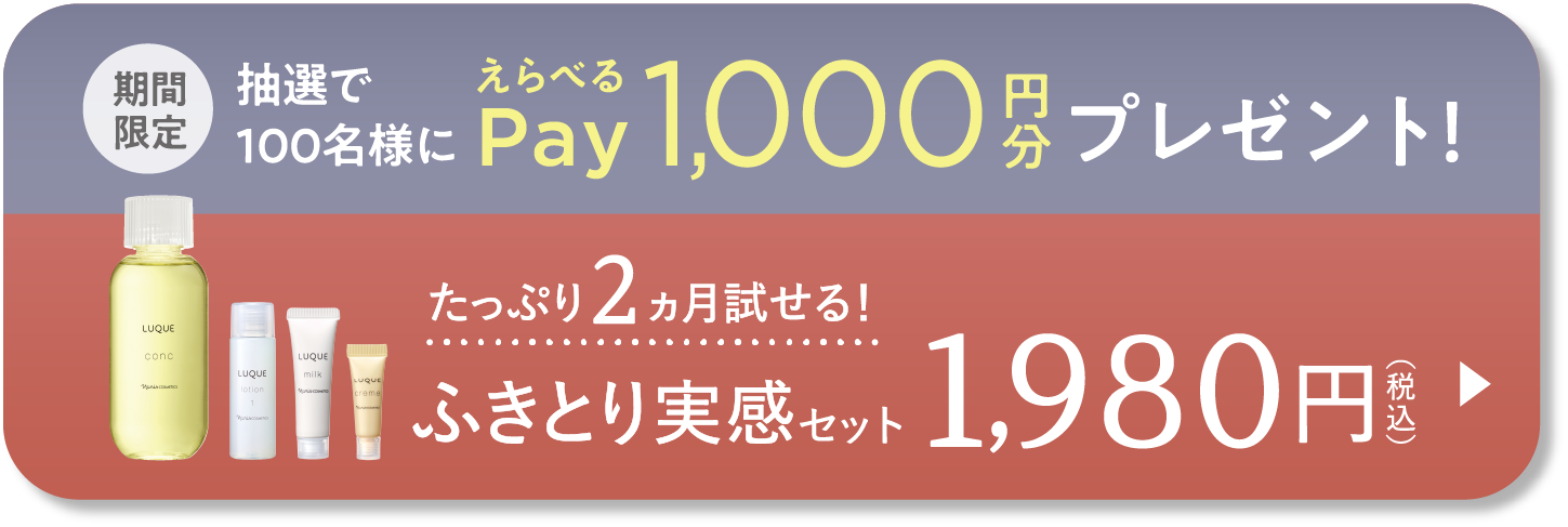 ふきとり実感セット
