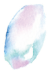 シトワ定期便
