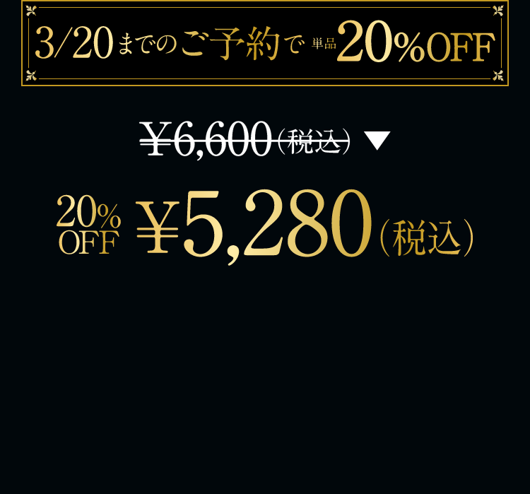 ￥6,600（税込）→ 20%OFF 5,280（税込）