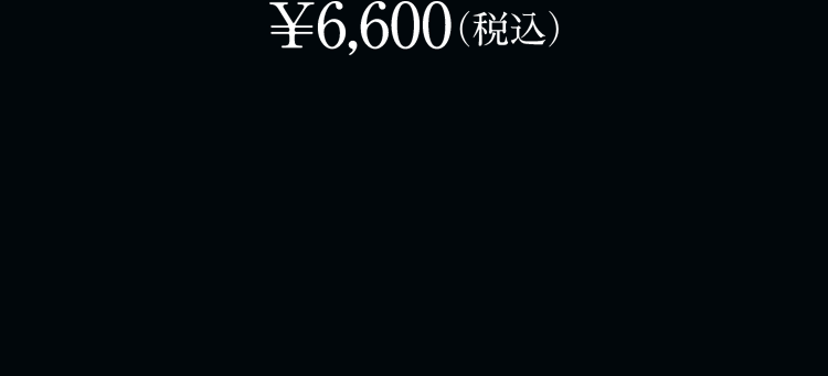 ￥6,600（税込）
