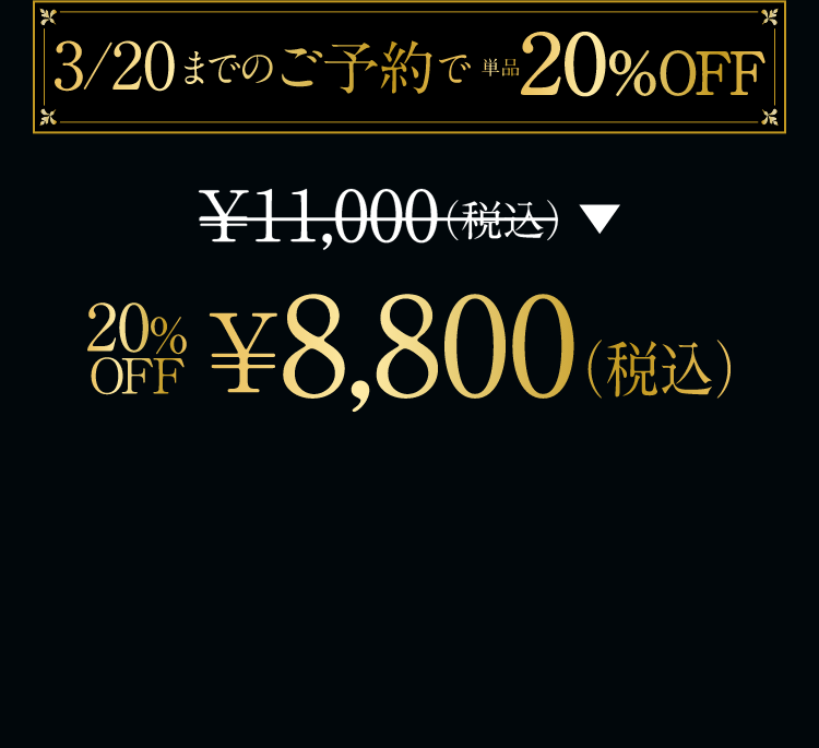 ￥11,000（税込）→ 20%OFF ￥8,800（税込）