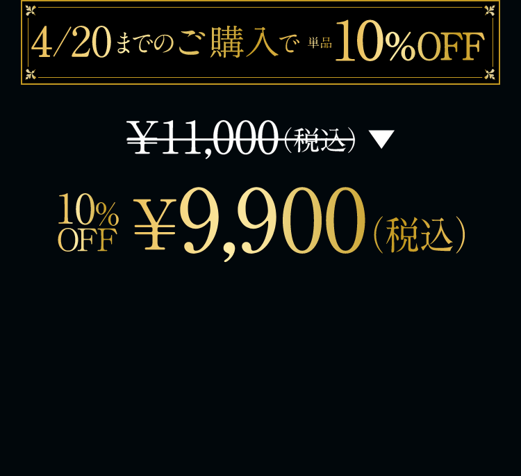 ￥11,000（税込）→ 20%OFF ￥9,900（税込）