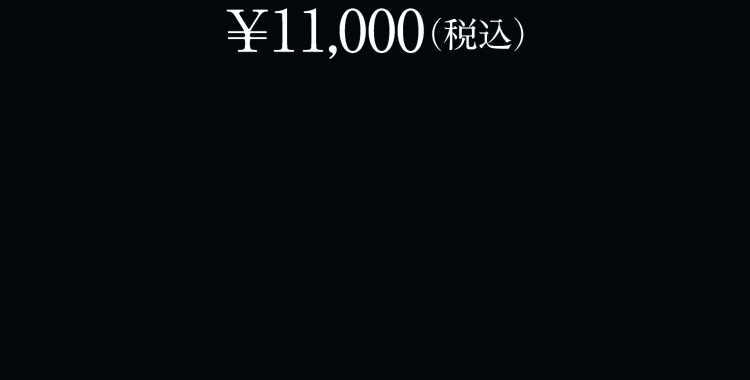 ￥11,000（税込）