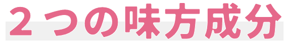 ２つの味方成分