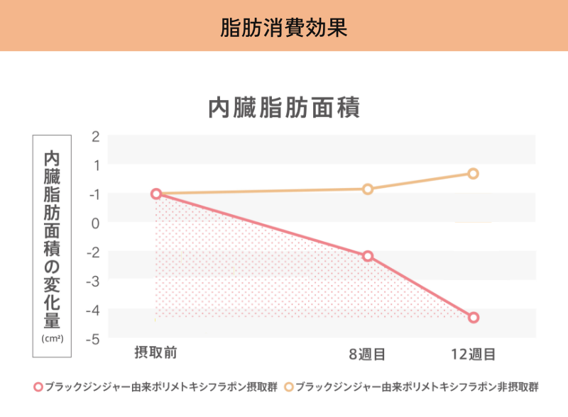 脂肪消費効果