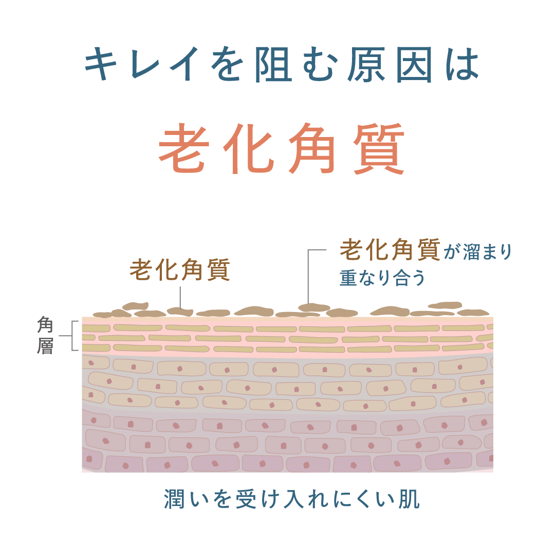 キレイを阻む原因は老化角質