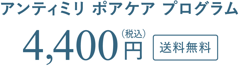 4,400円（税込）
