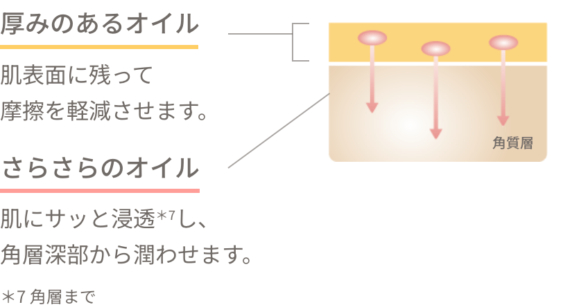 厚みのあるオイル 肌表面に残って摩擦を減少させます。 さらさらのオイル肌にサッと浸透*7し、角層深部から潤わせます。 *7 角層まで