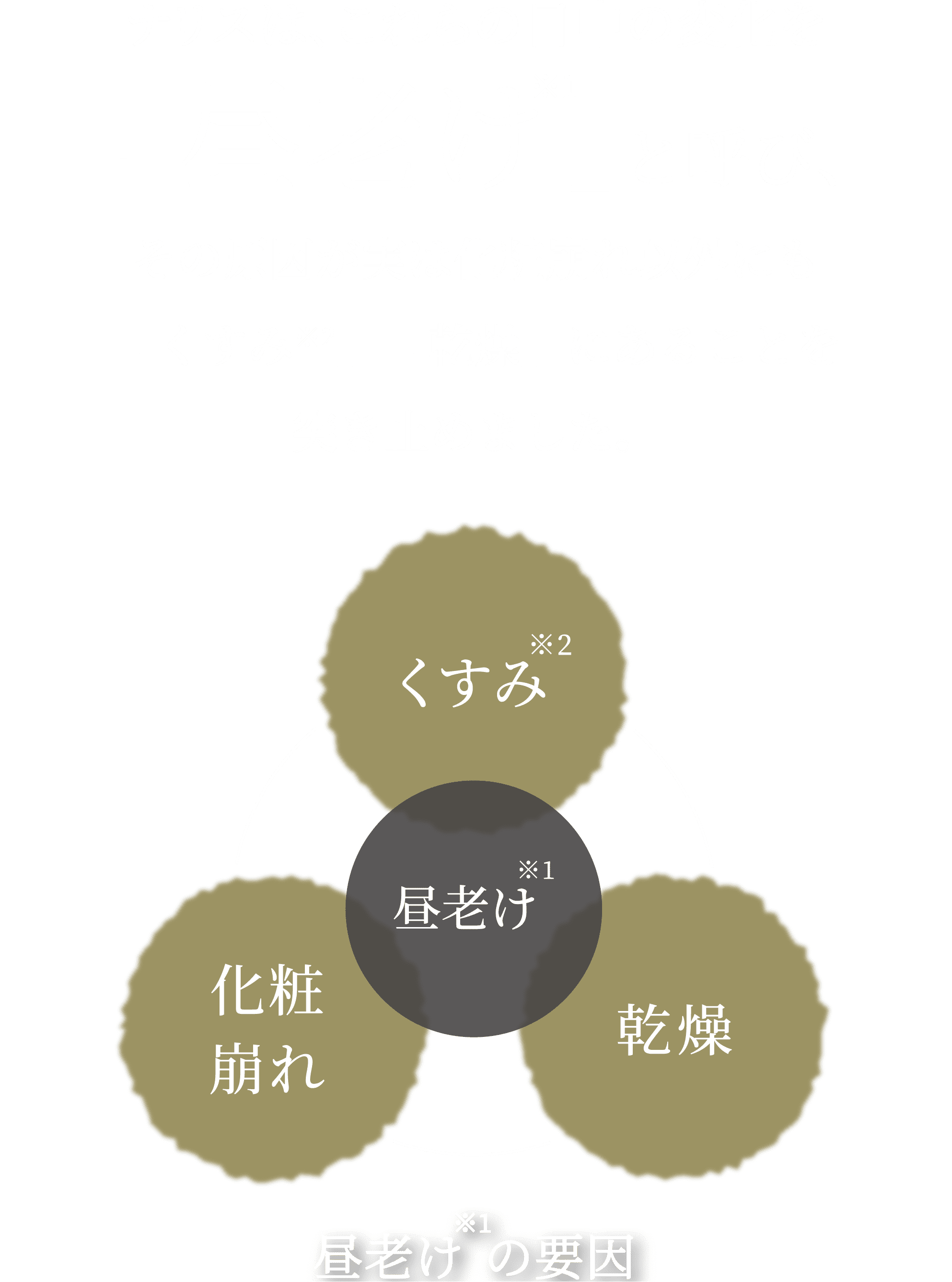 日中の肌に潤いを届け続ける 「セルグレース リキッド