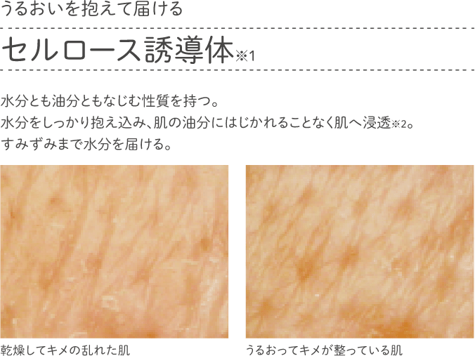 ルクエ ローション 1