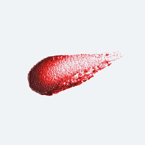 プロテクトヴェール カラーリップ 06 ０６：ノーブルボルドー