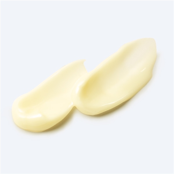 ブランド買蔵 - 値下げ❗新品❗未使用ナリス セルグレース デュプレ
