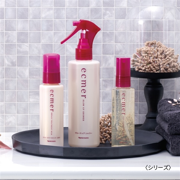 ナリス化粧品 - ナリス ブルーベリー アップ＊2箱の通販 by
