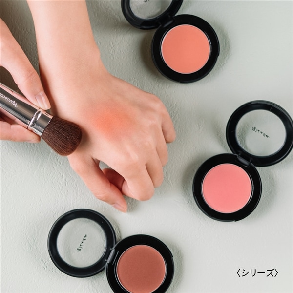 スキンブルーム チークス 03 ０３：テラコッタ