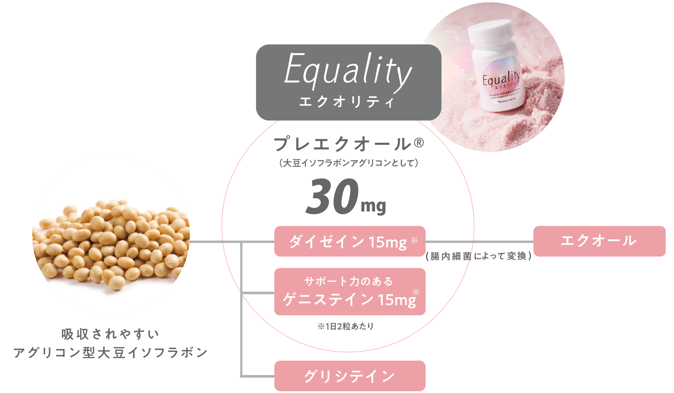 Equality エクオリティ 吸収されやすいアグリコン型大豆イソフラボン → プレエクオール®（大豆イソフラボンアグリコンとして） 30mg ダイゼイン15mg サポート力のあるゲニステイン15mg ※1日2粒あたり グリシテイン → 腸内細菌によって変換 エクオール